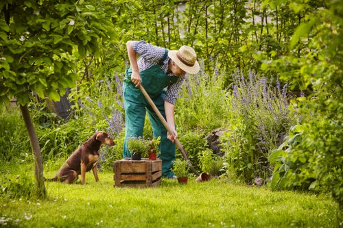 Sustainable tree management in Gunnersbury