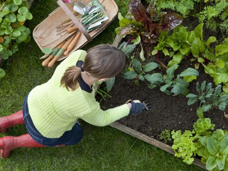 Inspector reviewing garden work on site