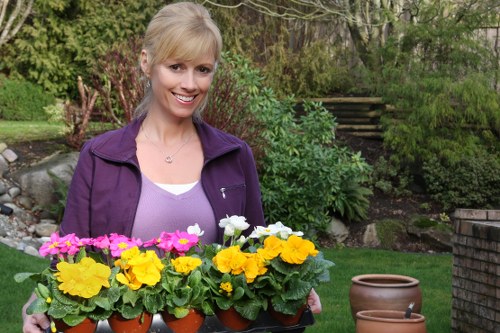 Eco-friendly lawn mowing practices in Gunnersbury