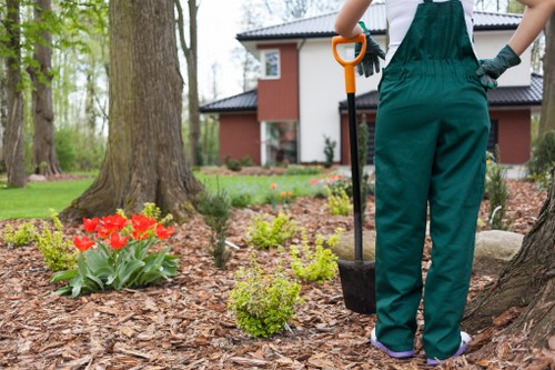 Comprehensive lawn care services offered